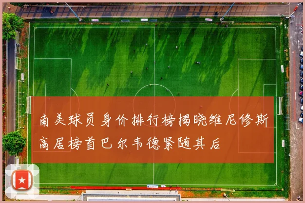 南美球员身价排行榜揭晓维尼修斯高居榜首巴尔韦德紧随其后
